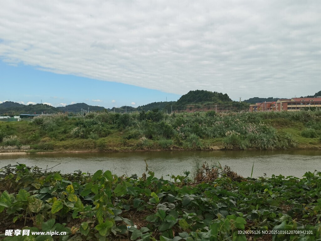 自然风光中的河流与植被