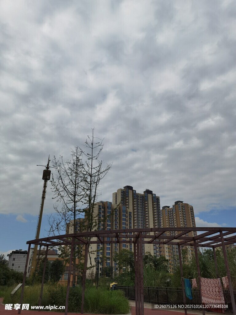 阴天城市建筑与绿植景观
