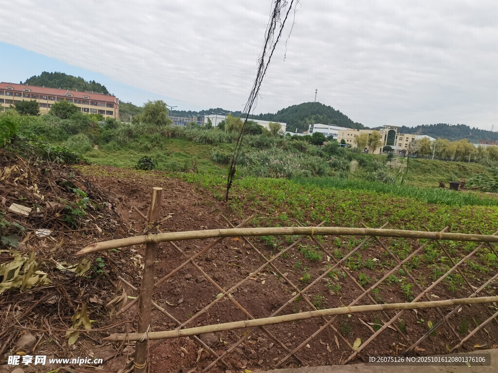 乡村田园景色竹栏围农田