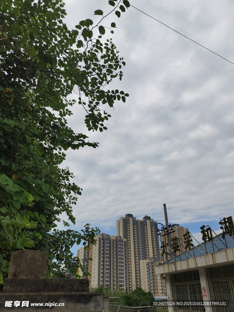 绿树旁的城市建筑景观