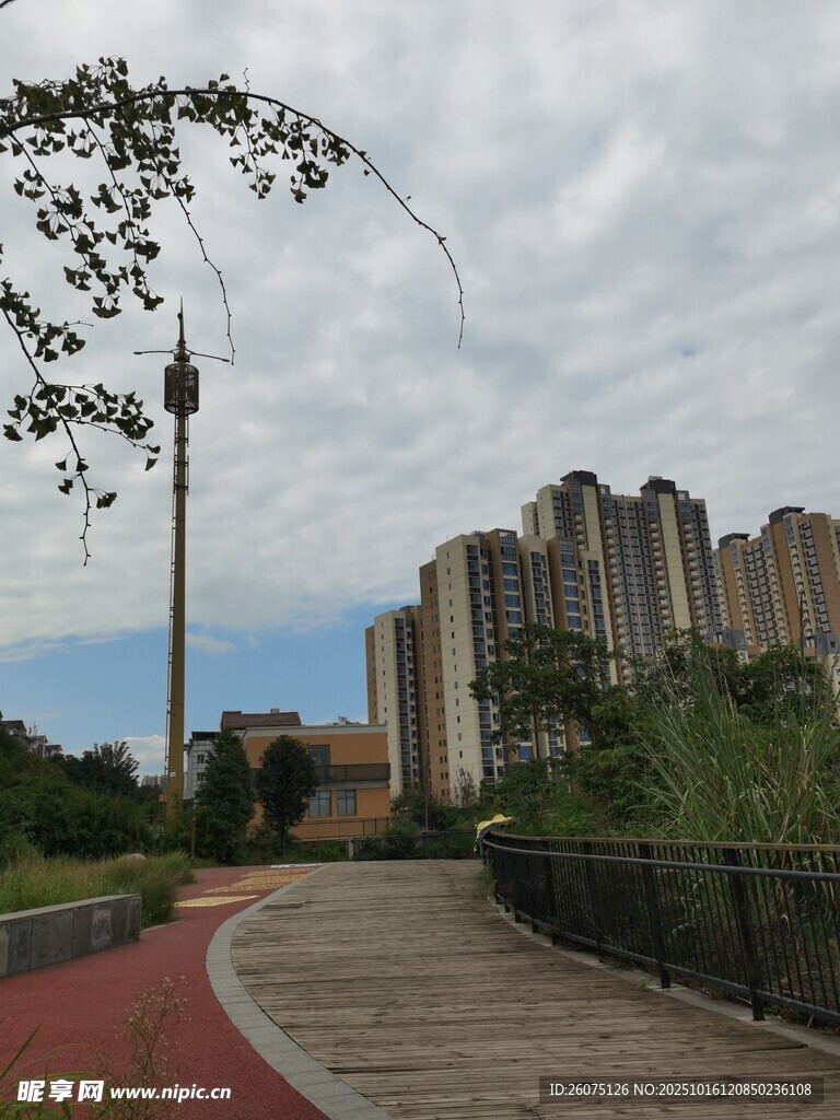城市公园中的步道与建筑