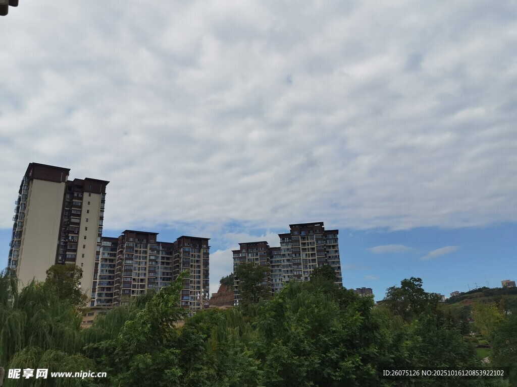 城市高楼与绿树景观