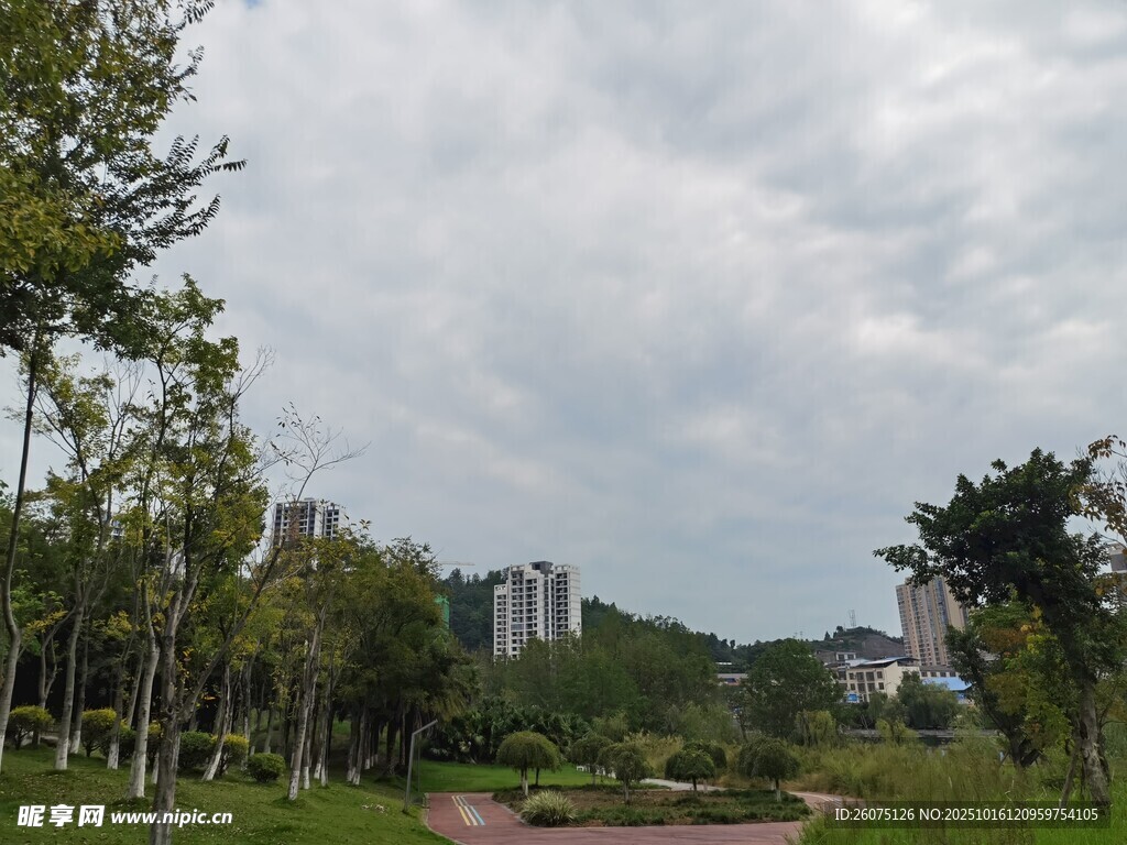 城市中的绿意公园景观