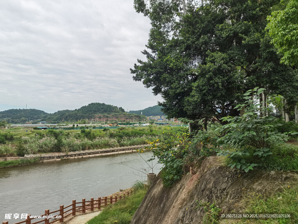 河畔绿意风景