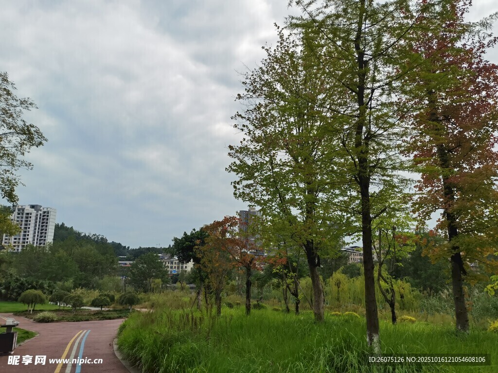 郊外绿意盎然的风景小路