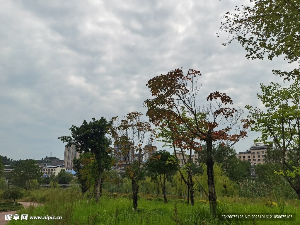 郊外绿意盎然的自然景致