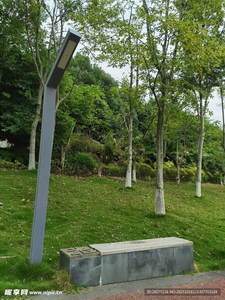 公园中的景观灯与绿植