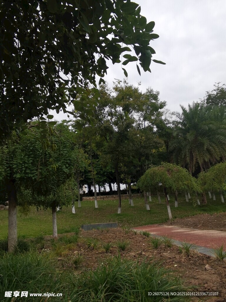公园绿意景观