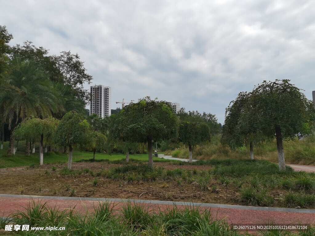 城市公园绿意景观