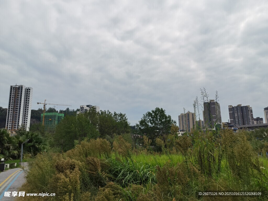 城郊草地与远处高楼景观