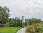 城市中的自然小径景观
