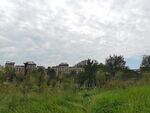 荒废建筑旁的繁茂草地