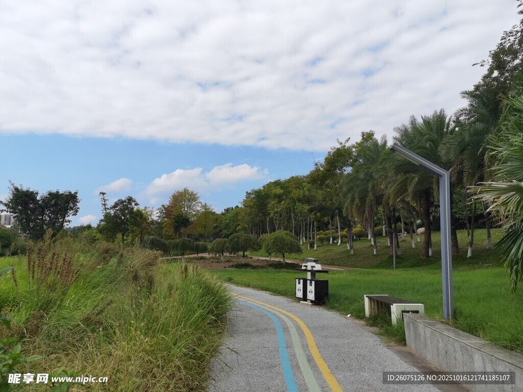 郊外骑行道风景
