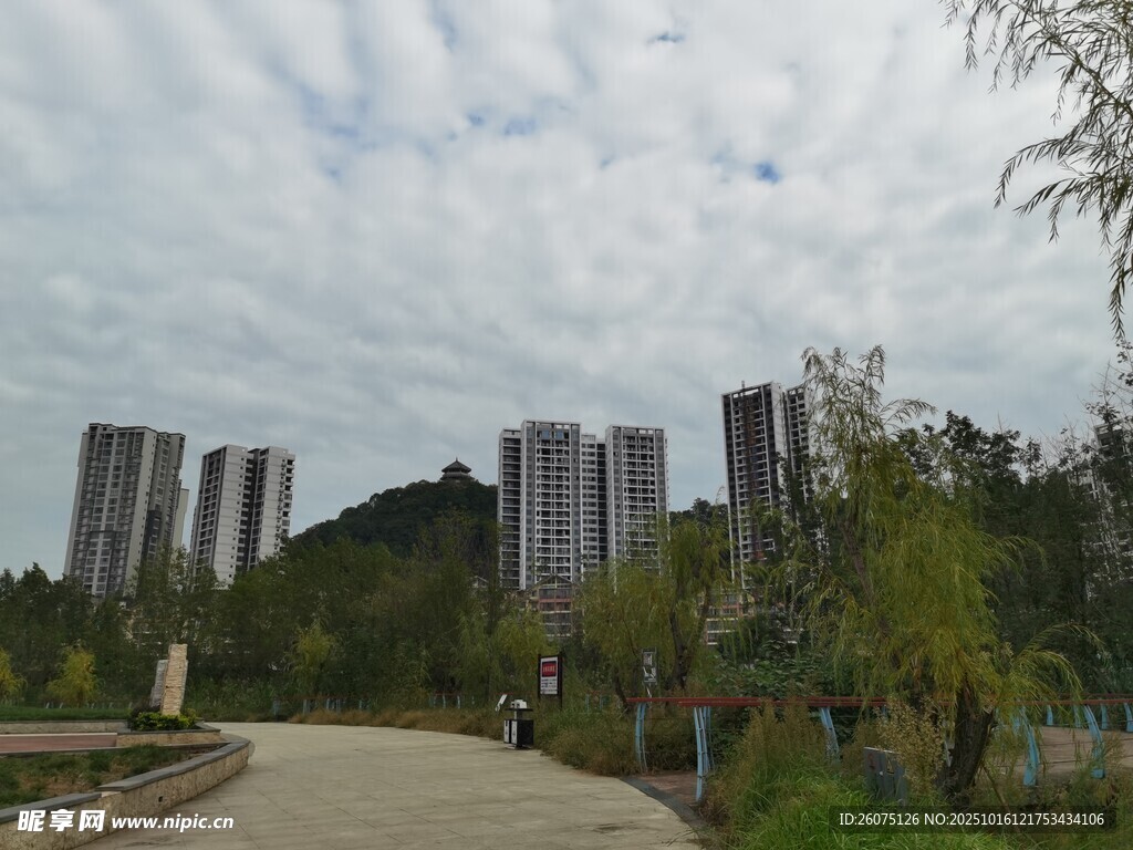 城市公园中的步道与高楼