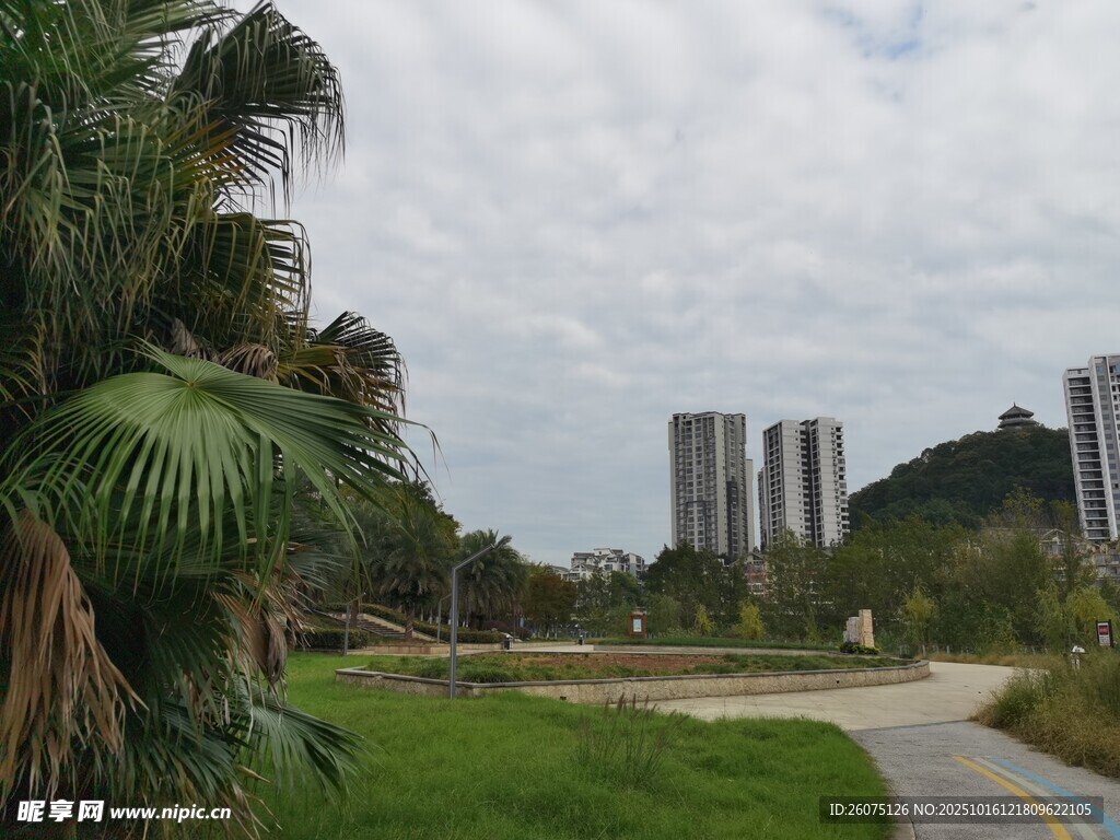 城市中的自然景观与建筑