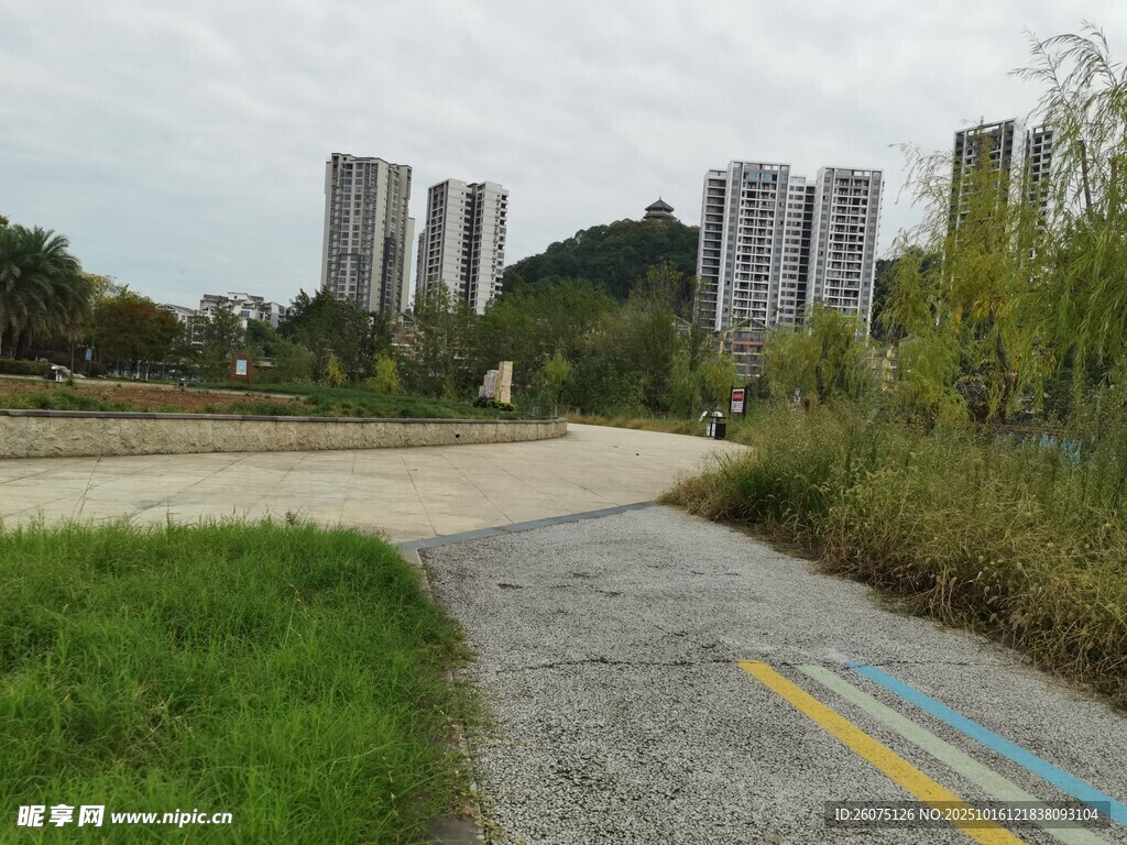 城郊小路旁的绿植与建筑