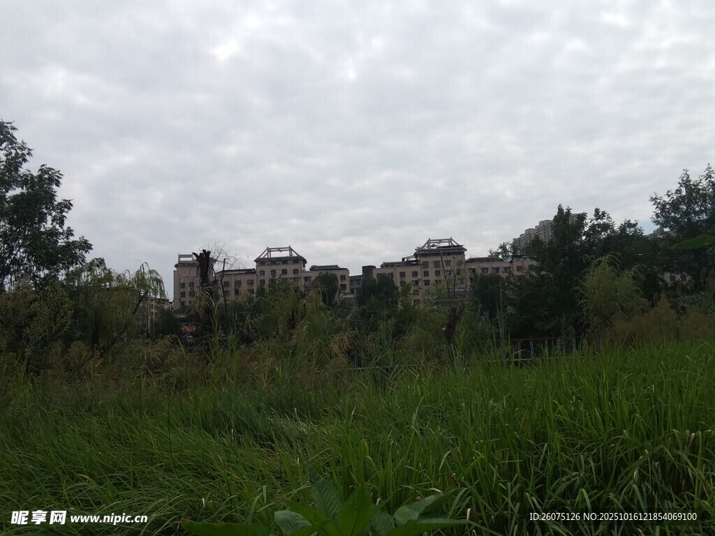 草地旁的建筑远景