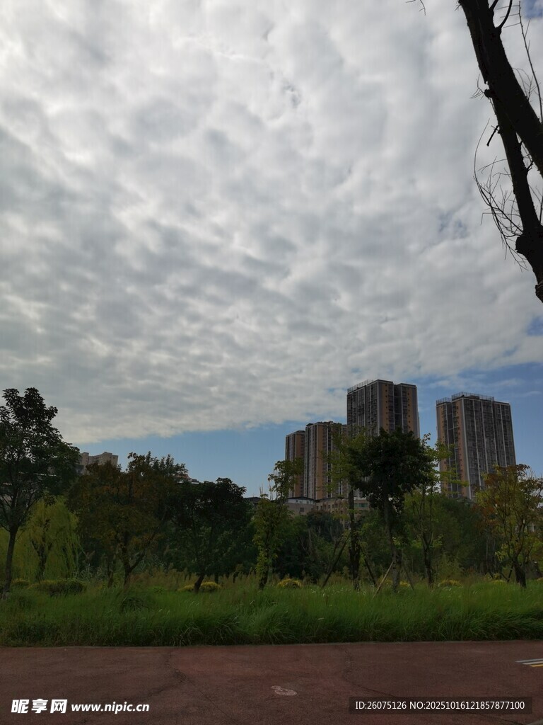 城市中的自然与建筑景观