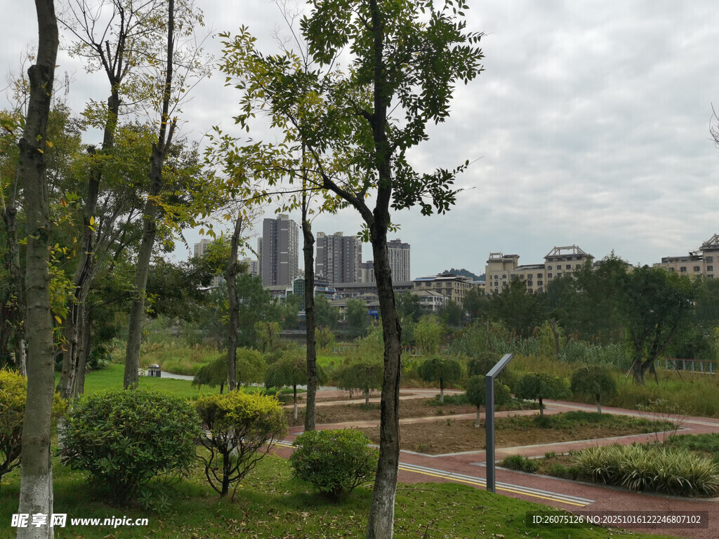 城市中的静谧公园景致