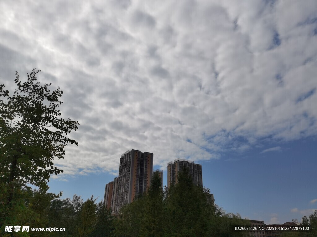 蓝天白云下的城市建筑