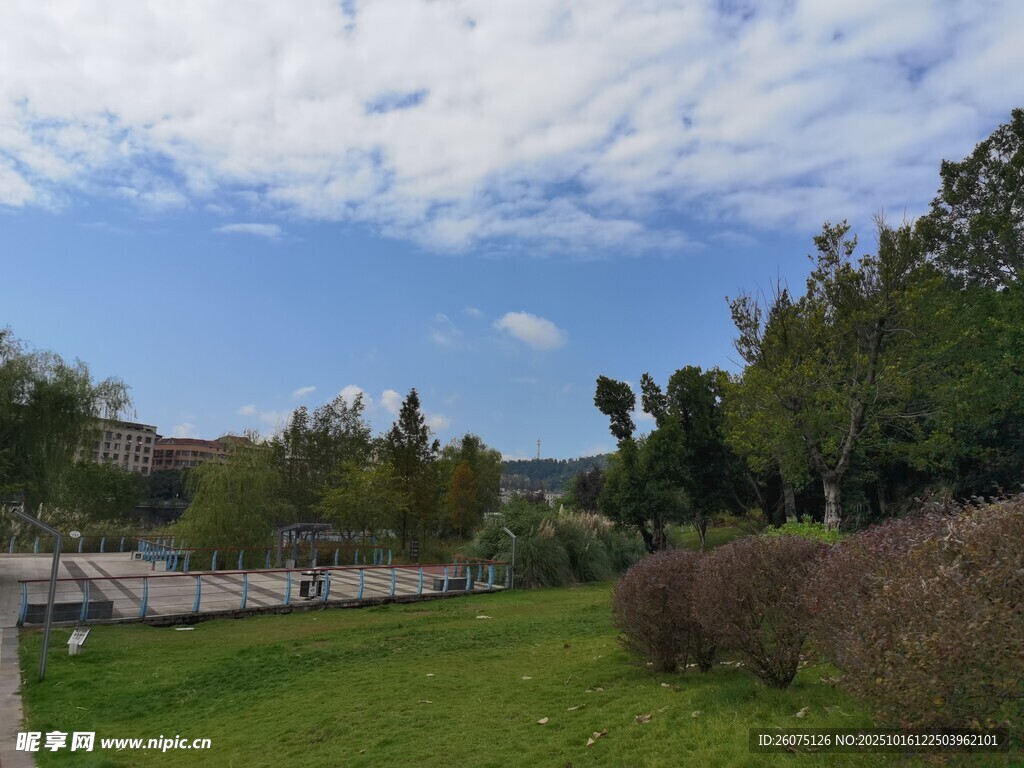 户外清新自然风景画面