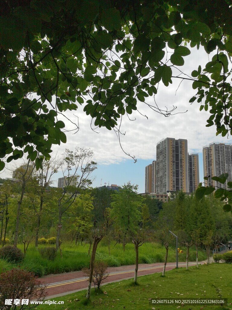 城市中的绿意公园景观