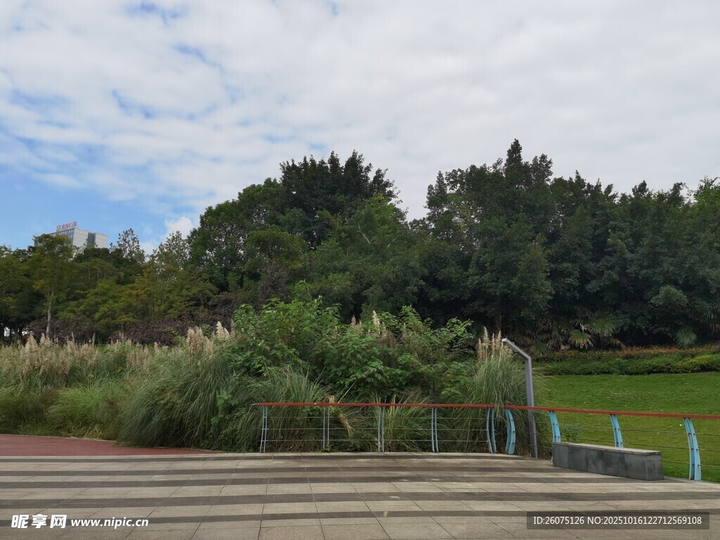 户外公园绿植景观