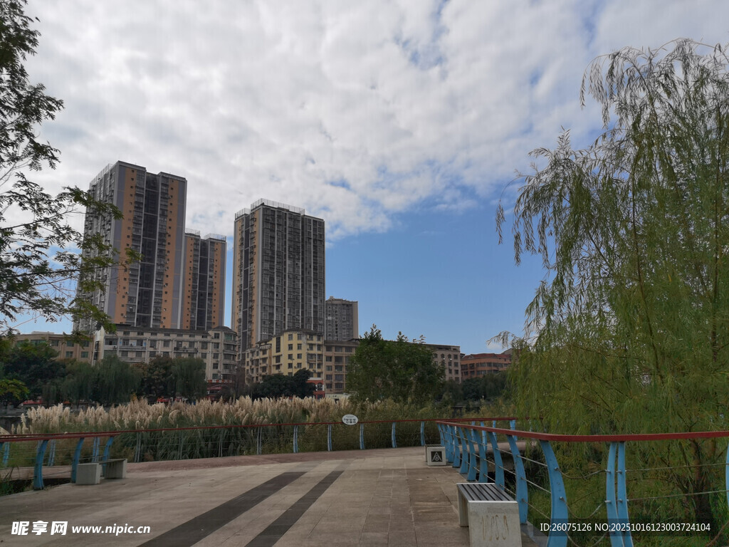 城市河畔的高楼与绿树景观