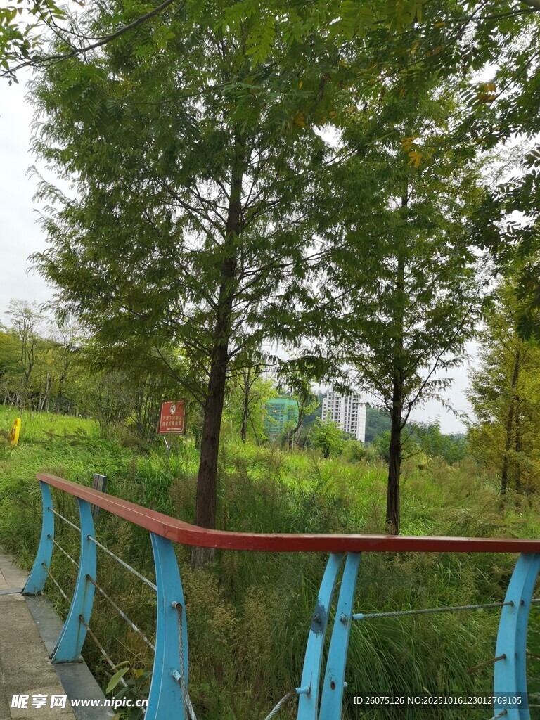 公园中的多彩栏杆与绿树