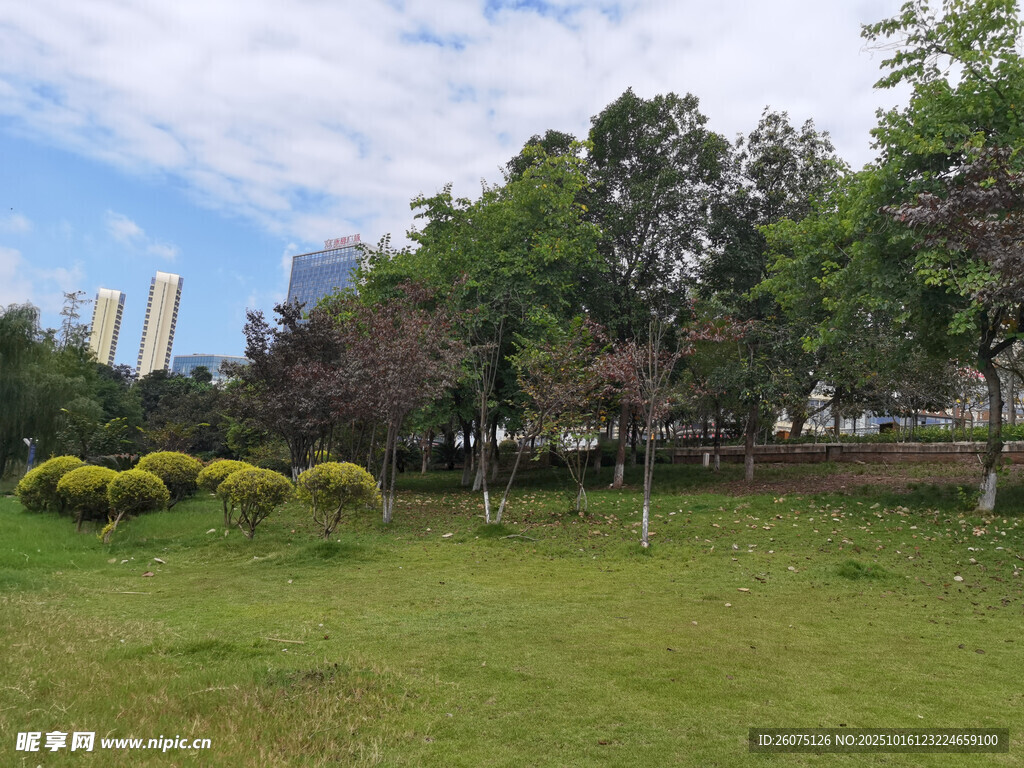 城市中的绿意盎然草地景观