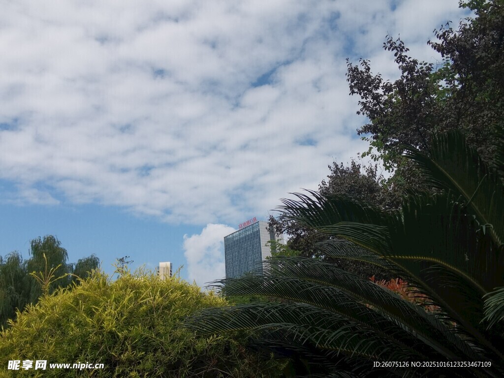 绿树掩映下的现代建筑