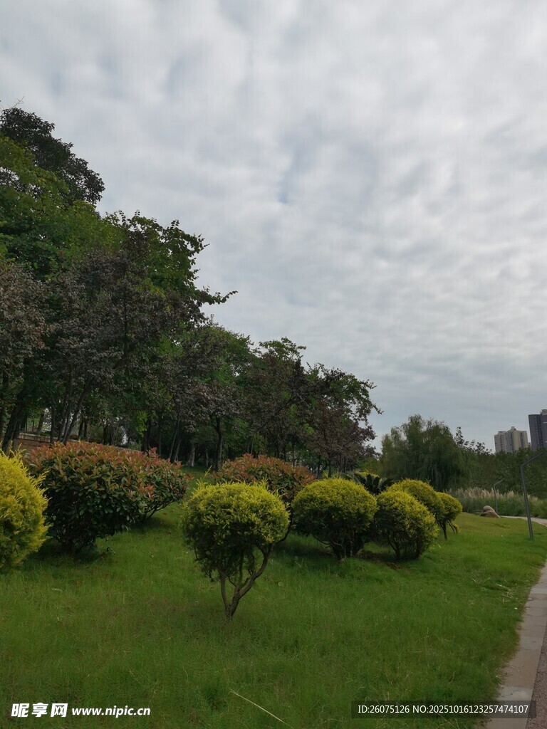 公园绿意盎然的景观