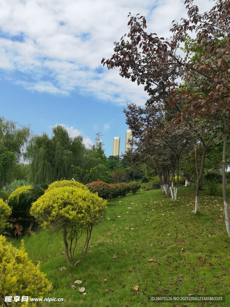 绿意盎然的公园景致
