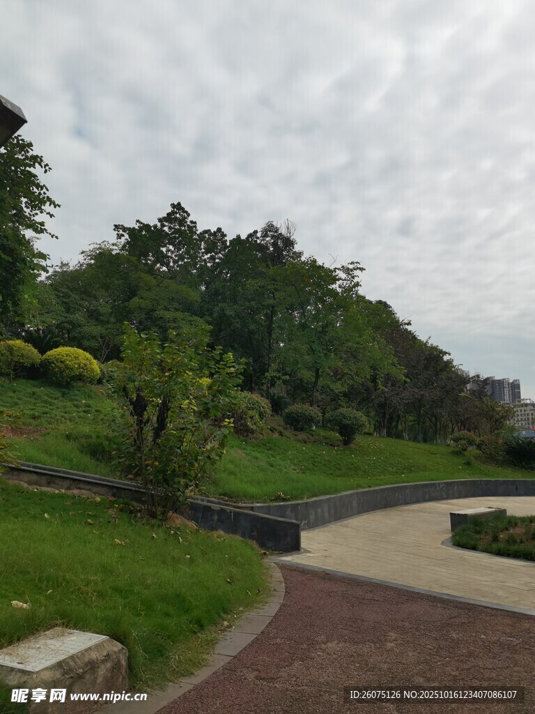 公园中的宁静小路与绿植