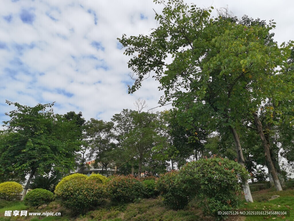 绿树蓝天的清新户外景致