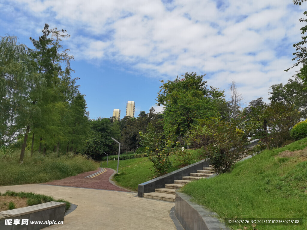 城市公园优美景致
