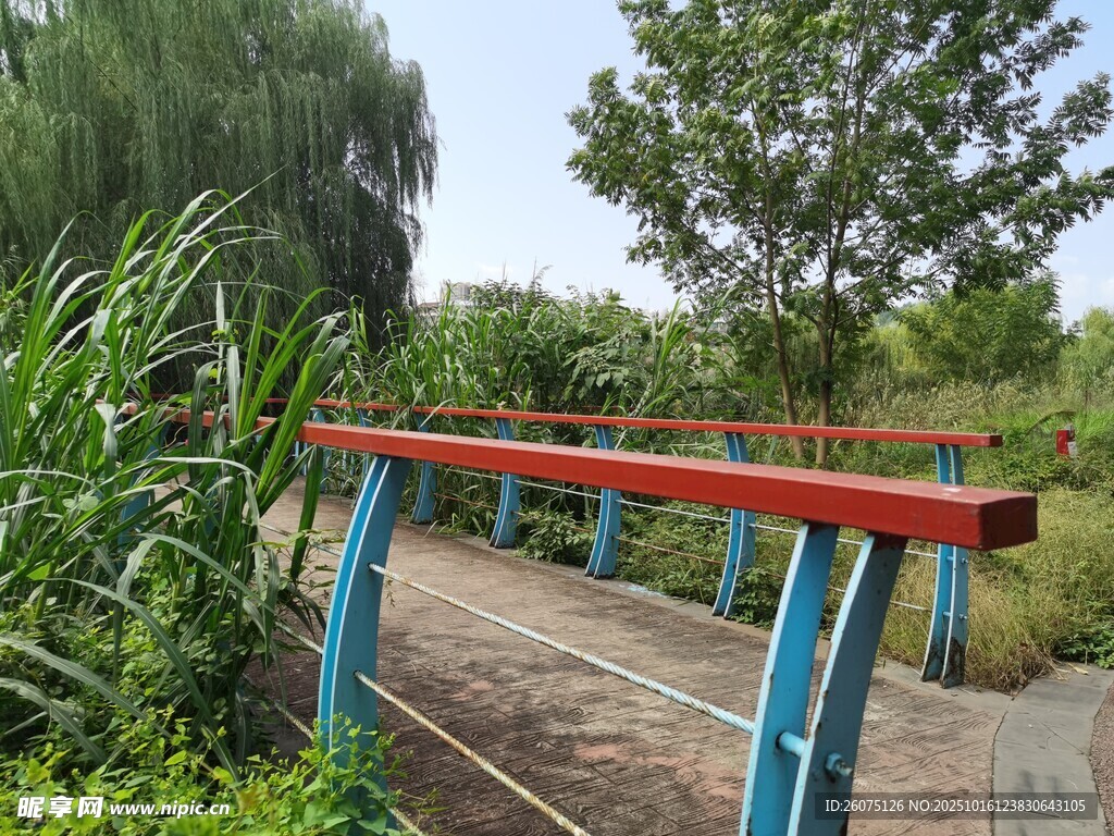 公园彩色栏杆与绿植景观