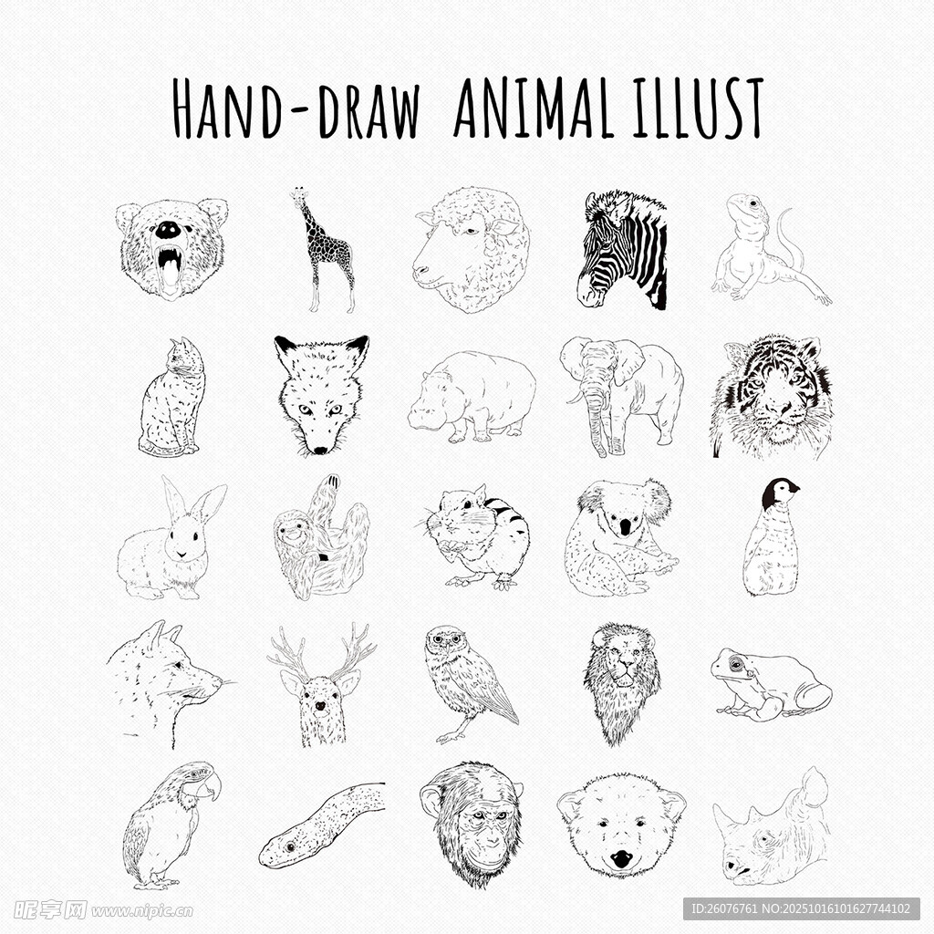 手绘动物头像插画集合