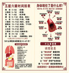 五脏六腑时间排表