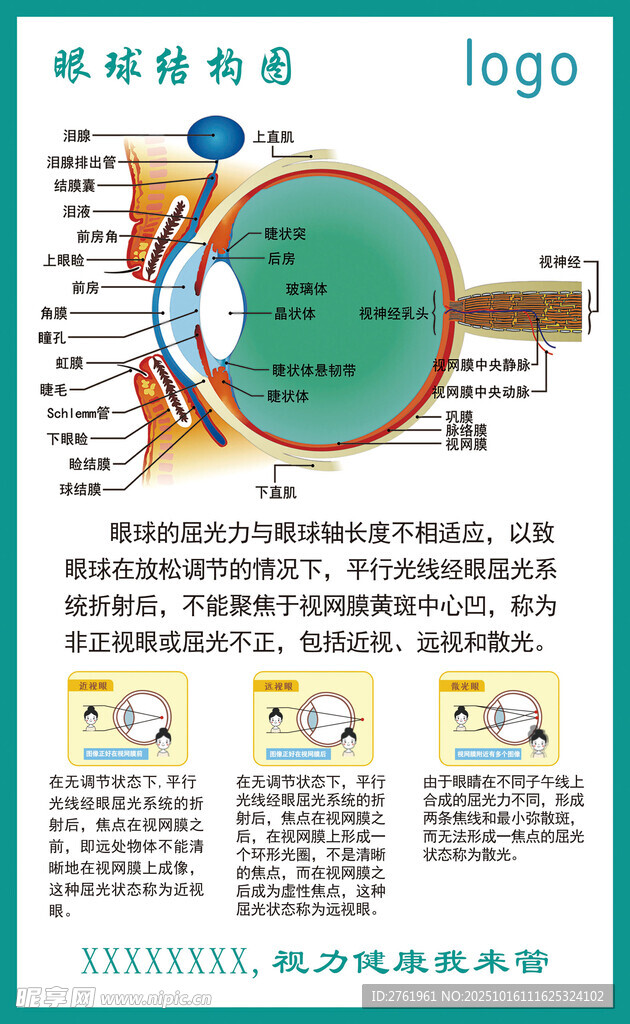 眼球结构图 