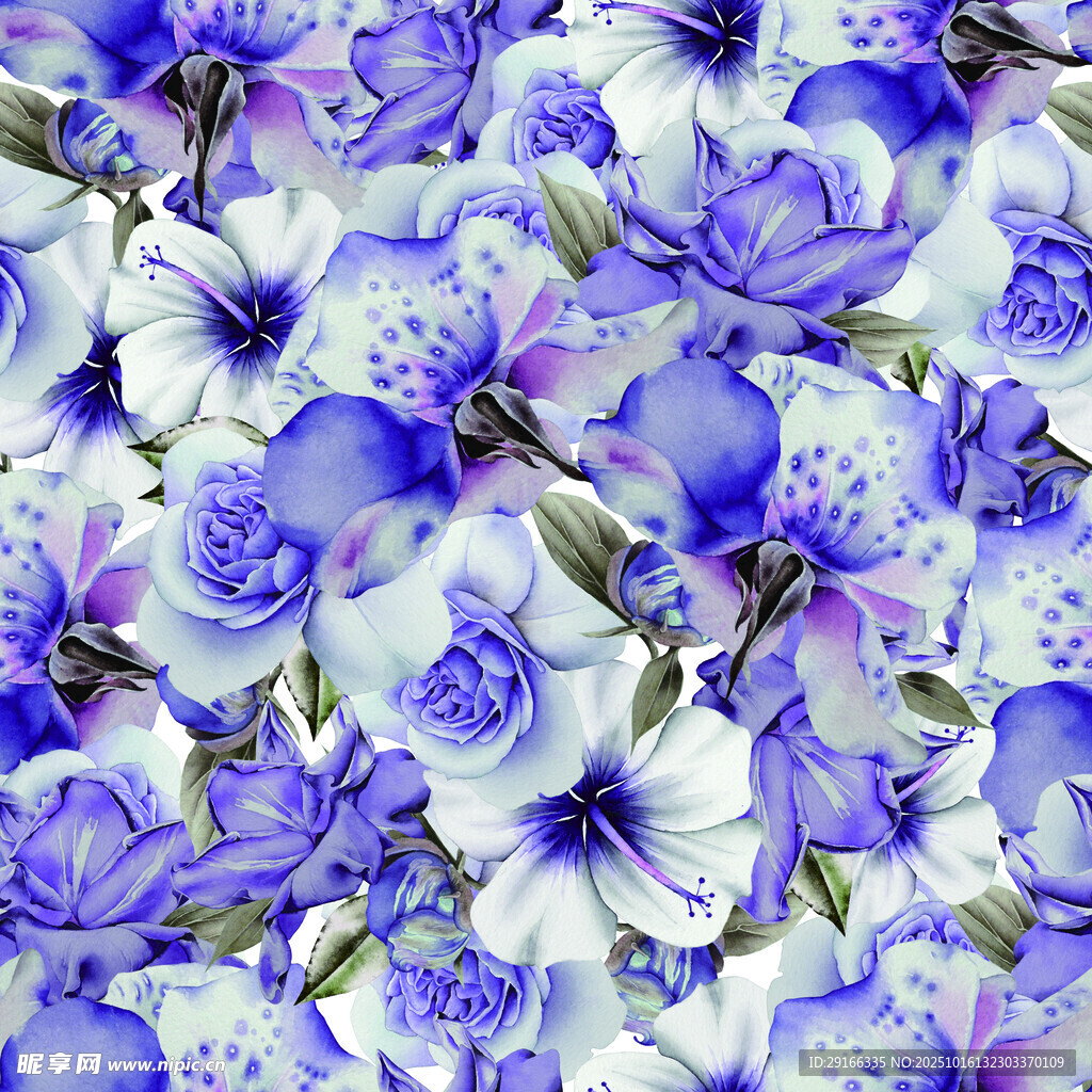 紫色花卉