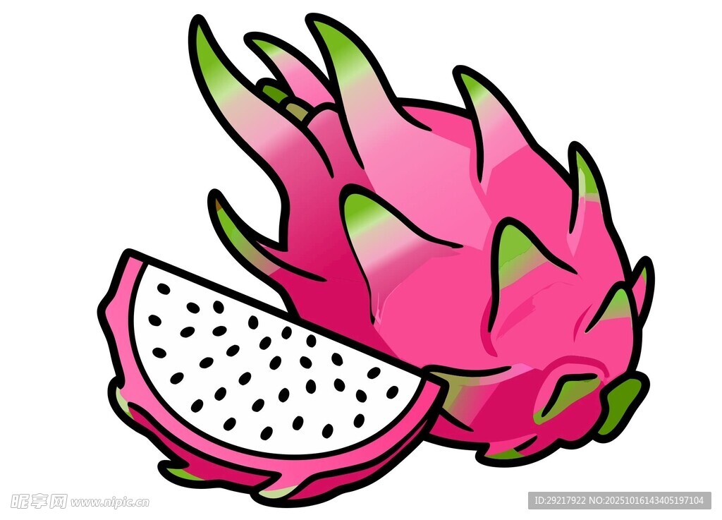 火龙果插画