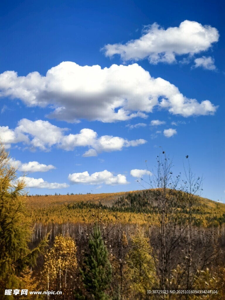北极村