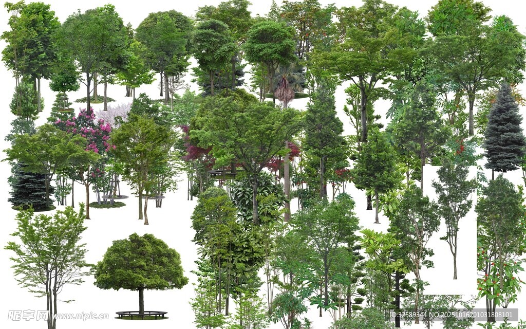 多样树木3D模型集合