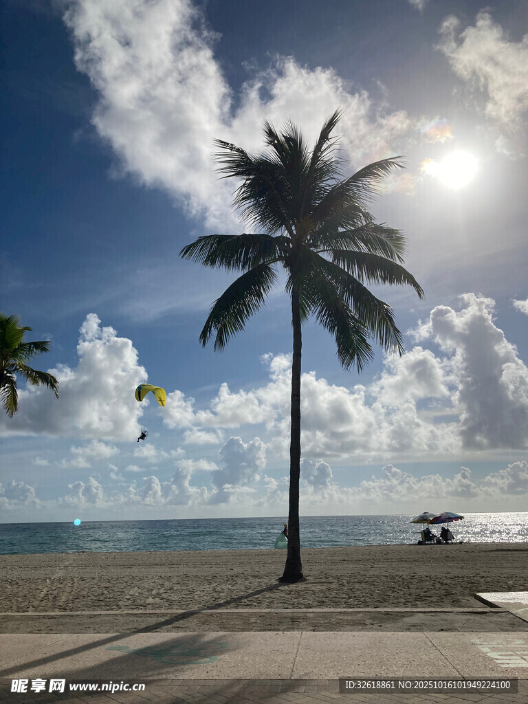 海边椰树与晴朗天空美景
