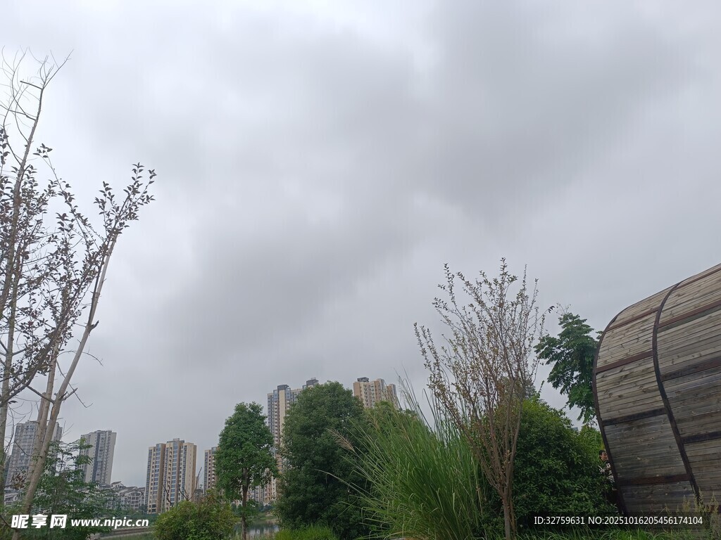 阴天城市中的绿植景观