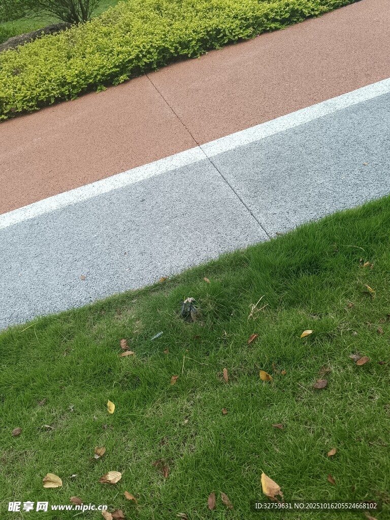 城市步道旁的绿植景观
