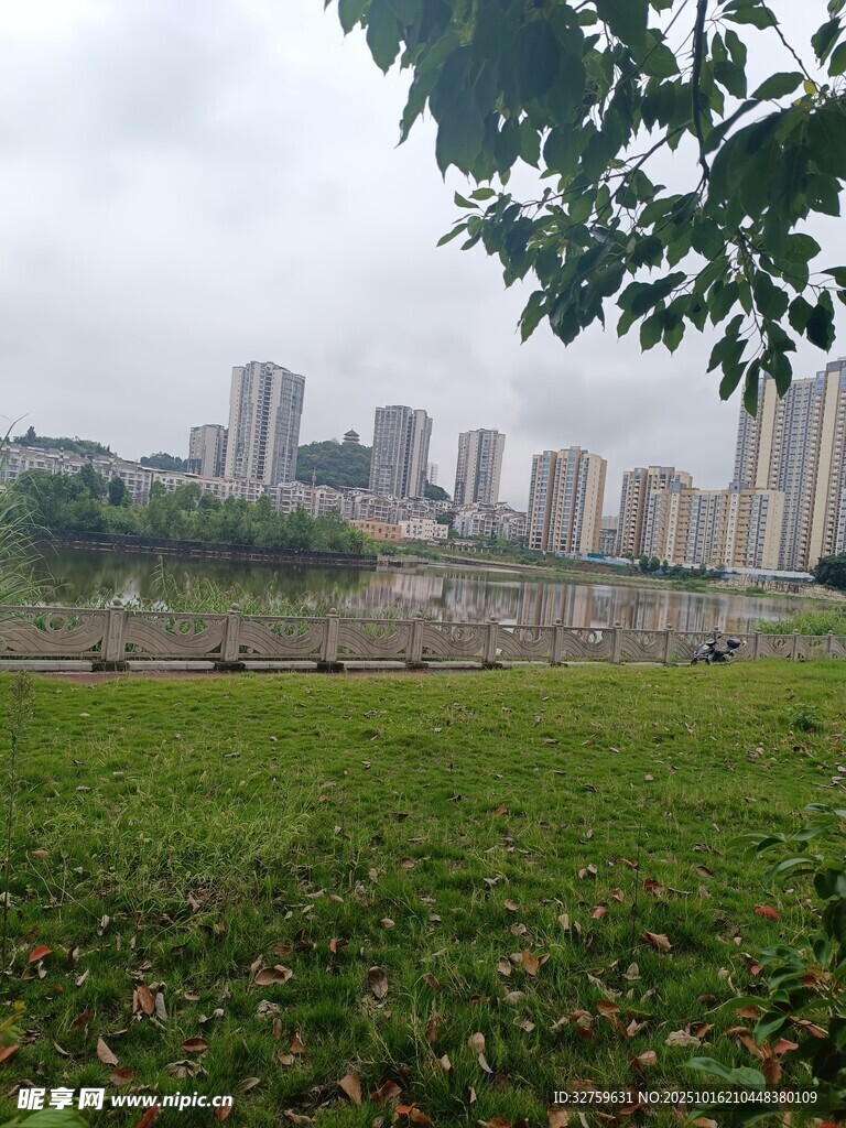 城市边的绿草地与高楼