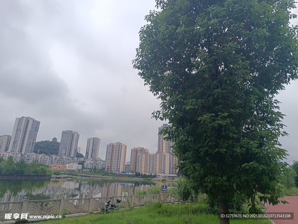 城市河畔绿树景观