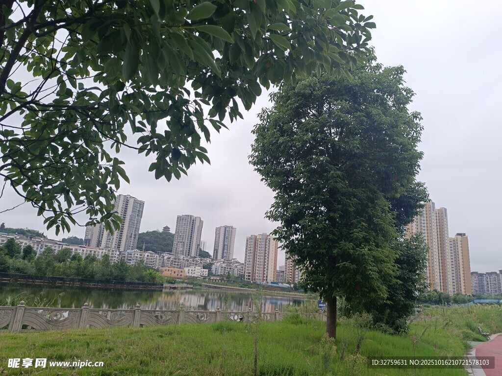 城市绿地旁的绿树与建筑